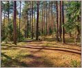 Земельные участки СНТ, ДНТ и с/х производства фотография