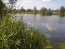 Продам участок для дачи рядом с Клином фотография