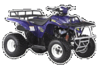 Квадроцикл Keeway ATV 250, продажа, доставка фотография